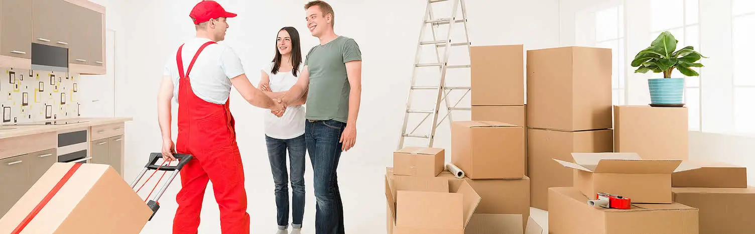 Iğdır Kurumsal Taşıma