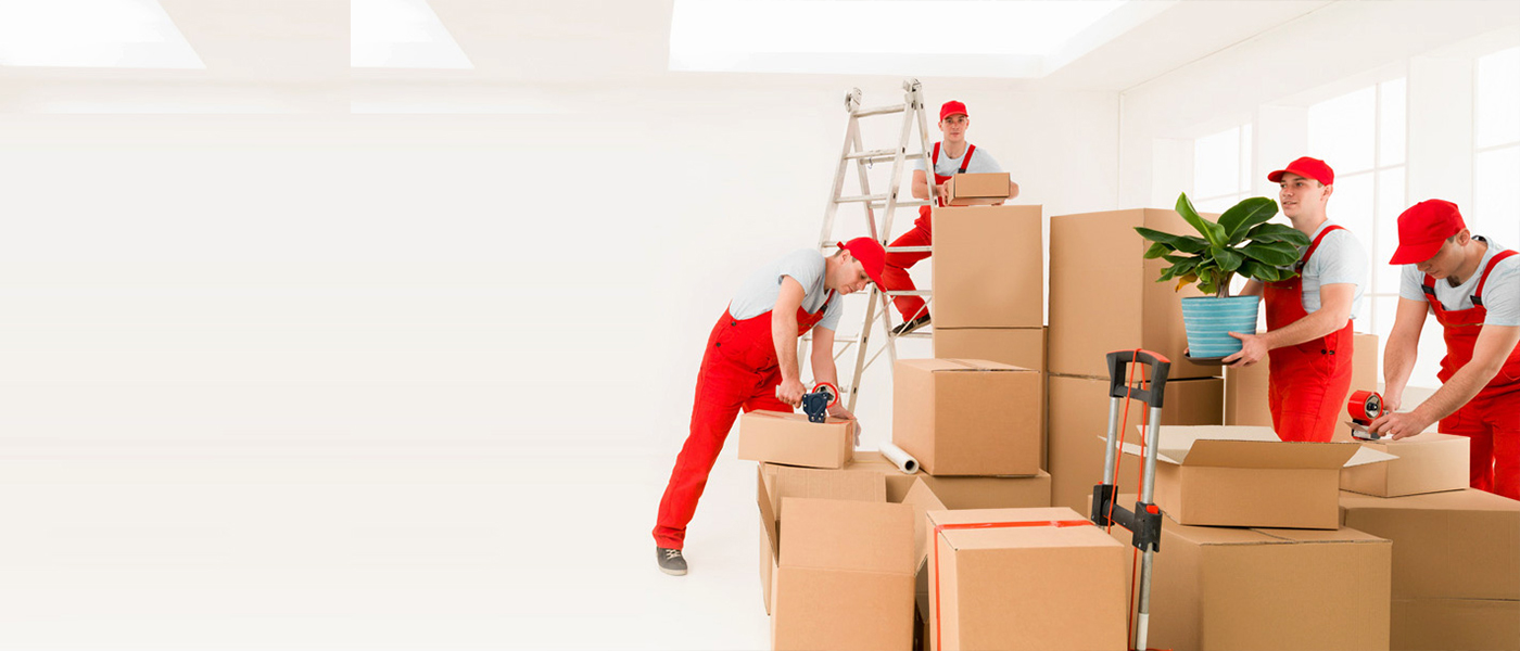 Iğdır Evden Eve Nakliyat